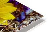 Dry Flowers 1 HD Metal print