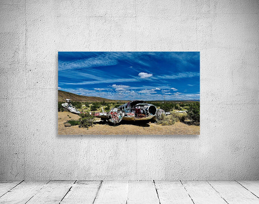 Tattooed Plane NV Wall Preview
