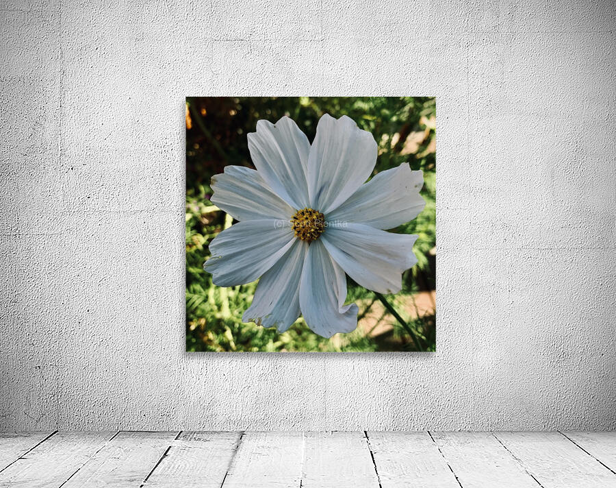 Flower IMG 4101 Wall Preview