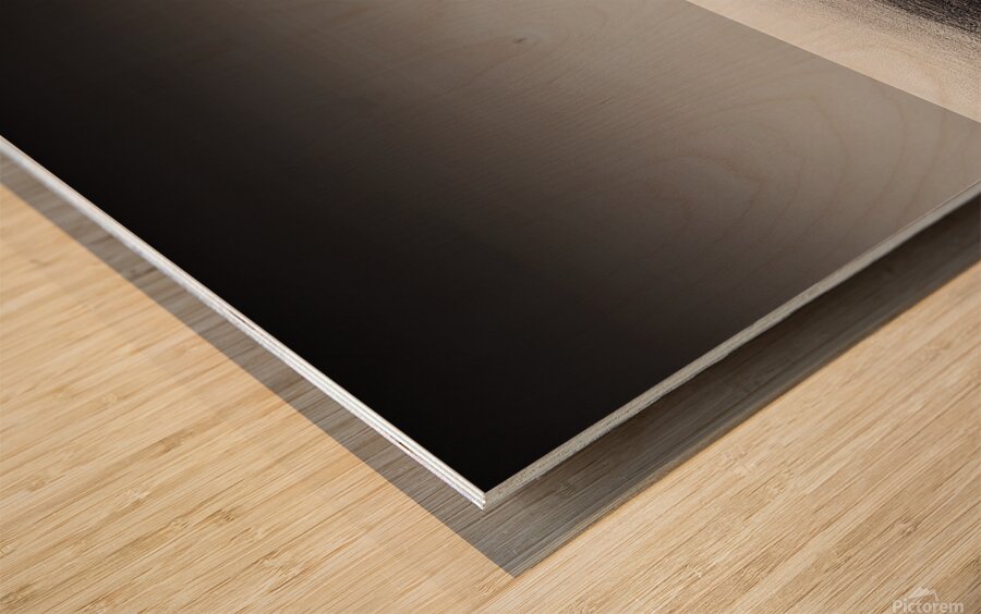 Escape Boats20 Wood print