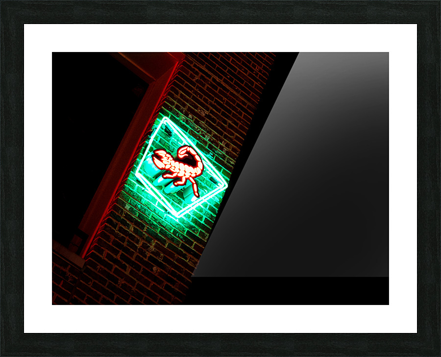 Scorpion Shot Picture Frame Printing