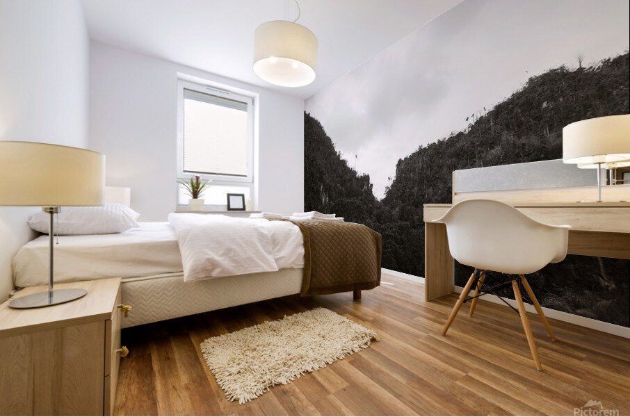 Mountain Fine Art Mural print
