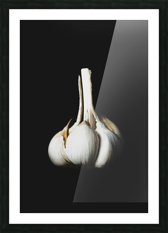 GARLIC Picture Frame print