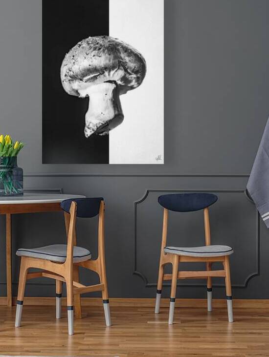 Dual Nature Mushroom Contrast by John Mata
