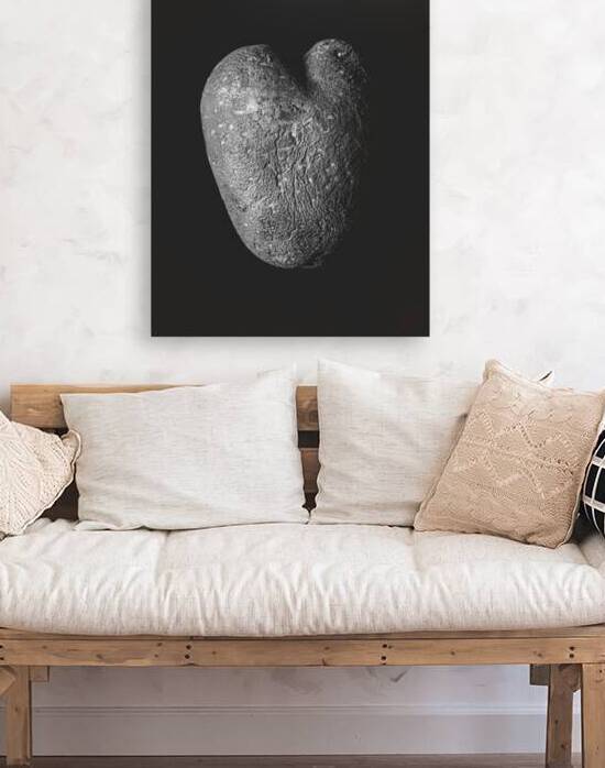 Heart of the Harvest Monochrome Potato Elegance by John Mata