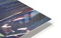 Rose 5 HD Metal print