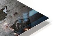 Rust untitled 32 HD Metal print