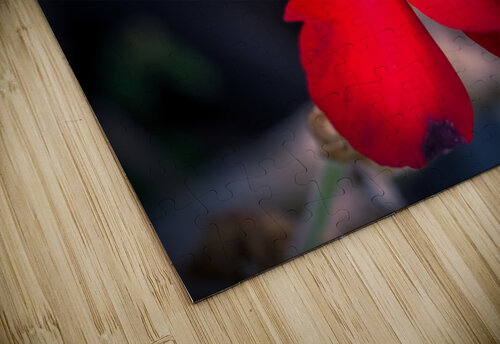 Red BobbyRay puzzle