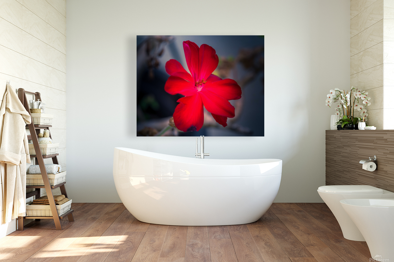Red Reproduction