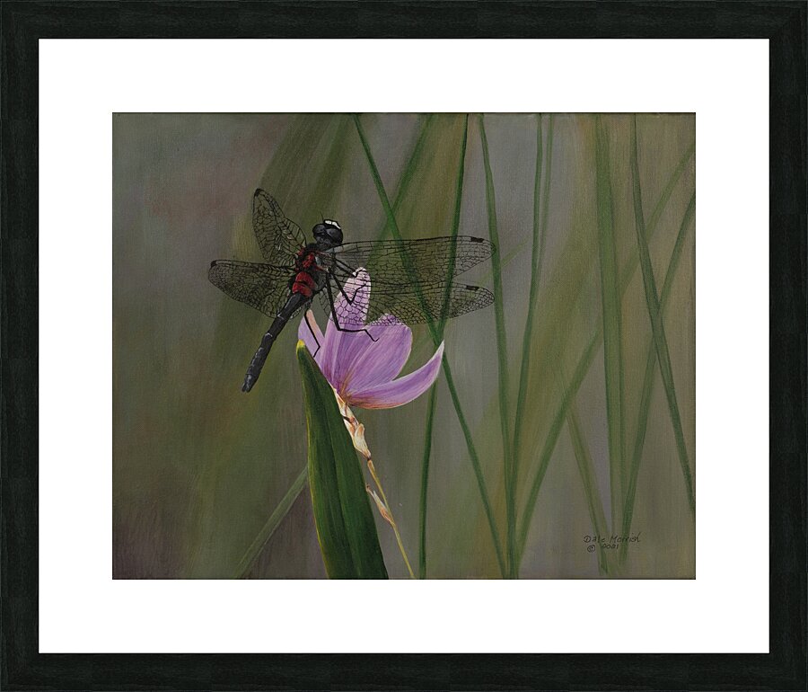 16x20 Picture Frame print