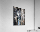 Wolf Spying Through Trees Acrylic Print