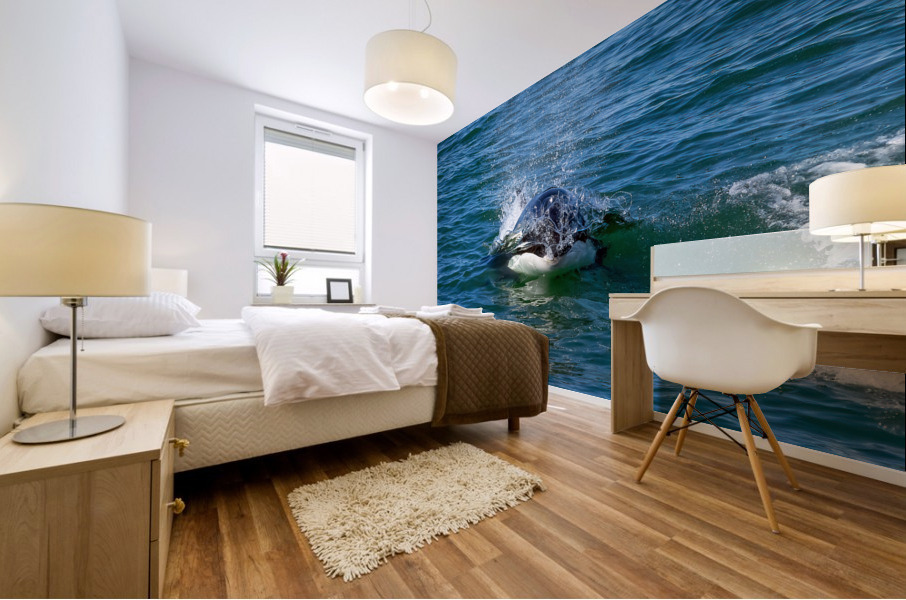 Orca Blowing Bubbles Mural print