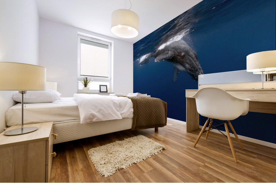 Tonga Calf Surfacing Mural print