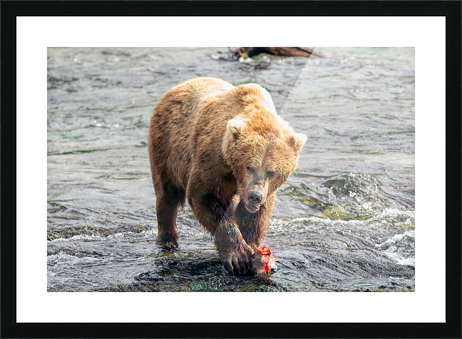  Fine Art print