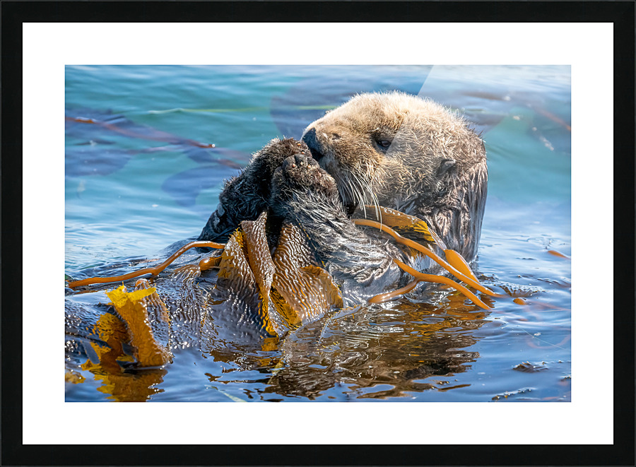  Fine Art print
