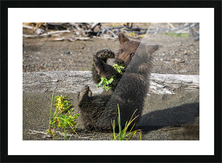  Fine Art print