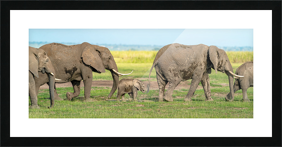  Fine Art print