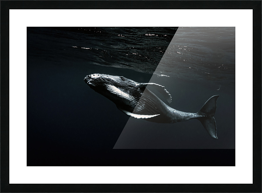  Fine Art print