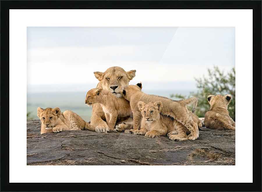  Fine Art print
