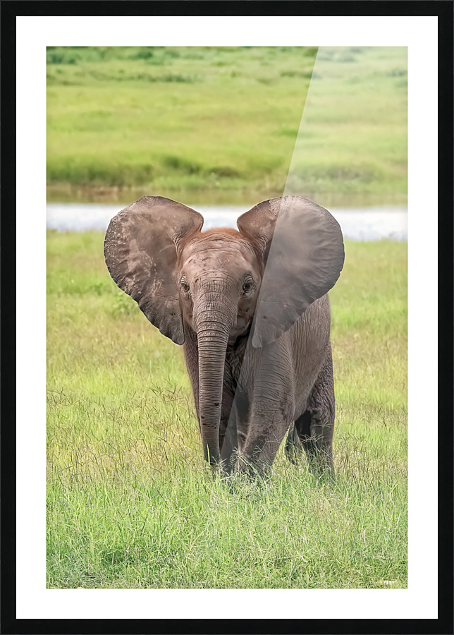 Fine Art print