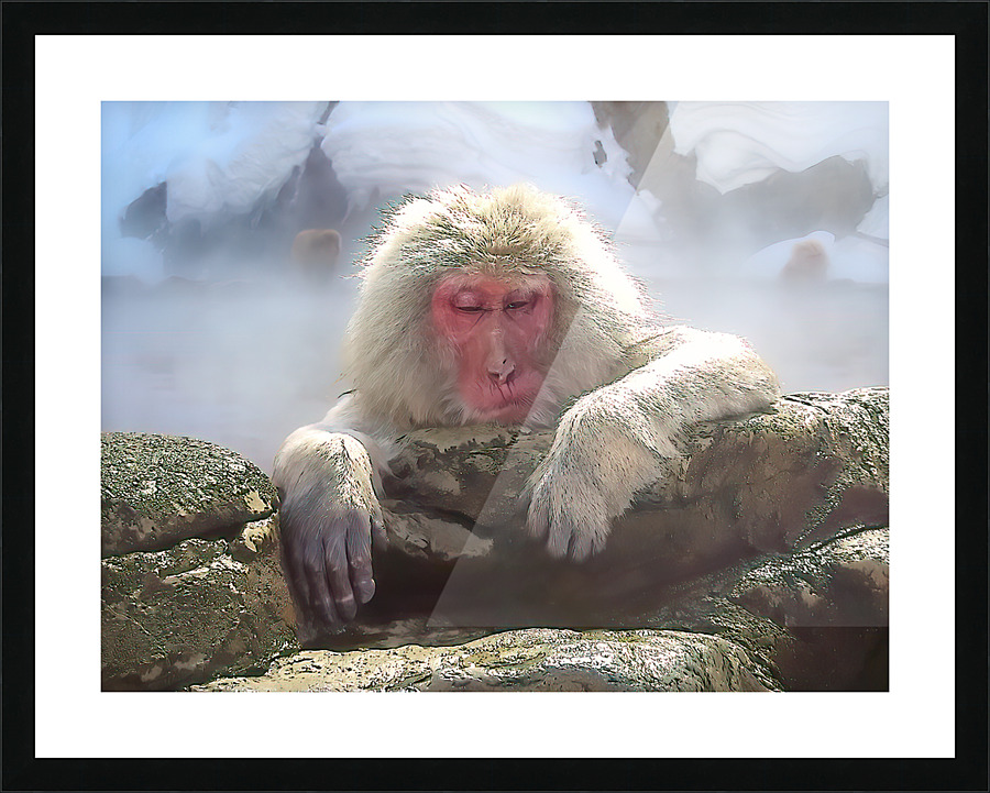  Fine Art print