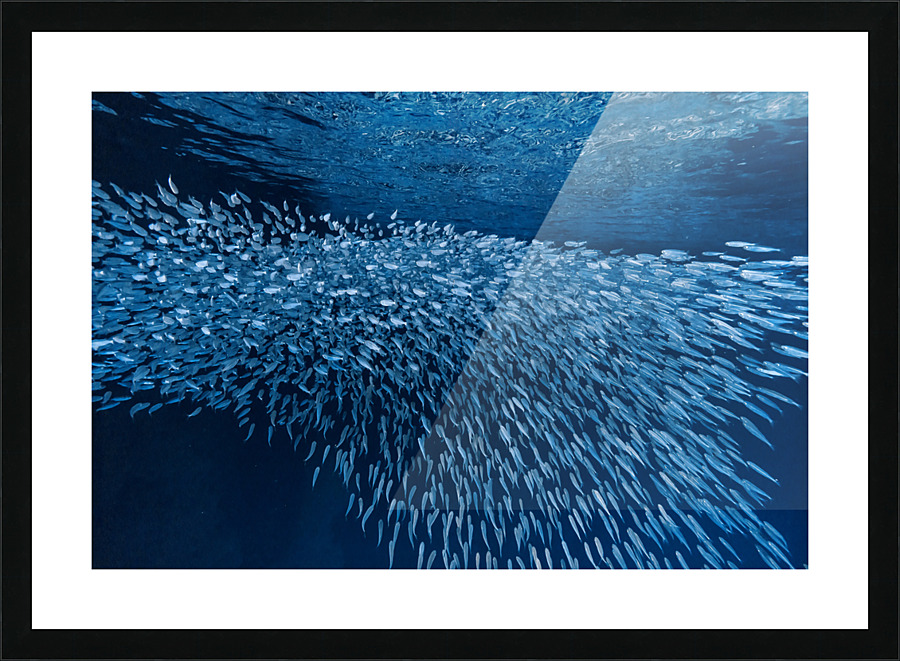  Fine Art print