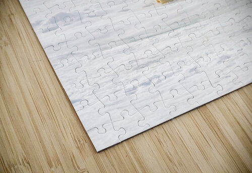Polar Bears Nursing  Kara Capaldo Photography puzzle