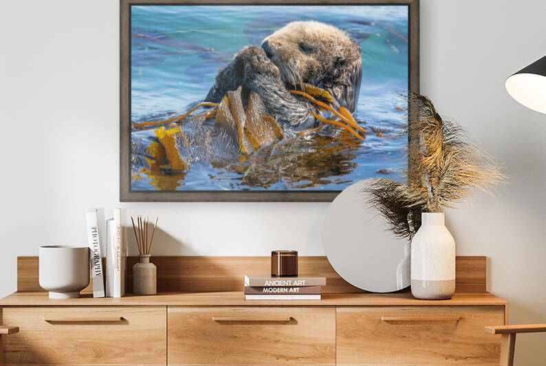 Otter in Kelp  by Kara Capaldo Photography