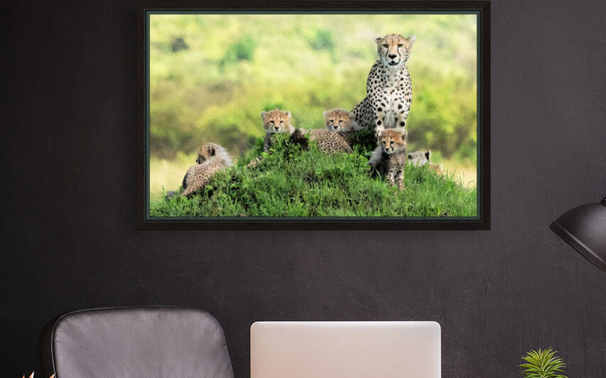 Kenya Cheetah Family by Kara Capaldo Photography