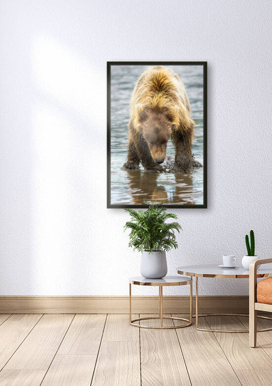 Lake Clark Bear Digging for Clams Reflection by Kara Capaldo Photography