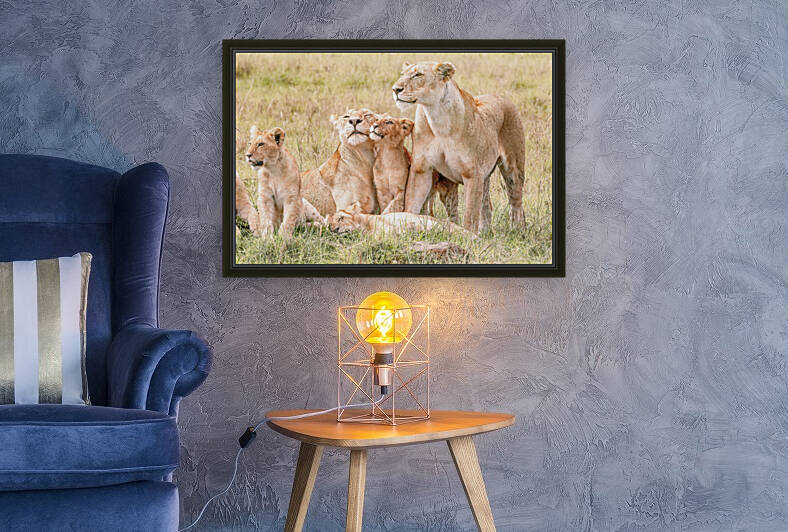 Kenya Lion Family Snuggling by Kara Capaldo Photography