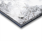 ciel blanc Acrylic print