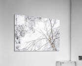 ciel blanc Acrylic Print