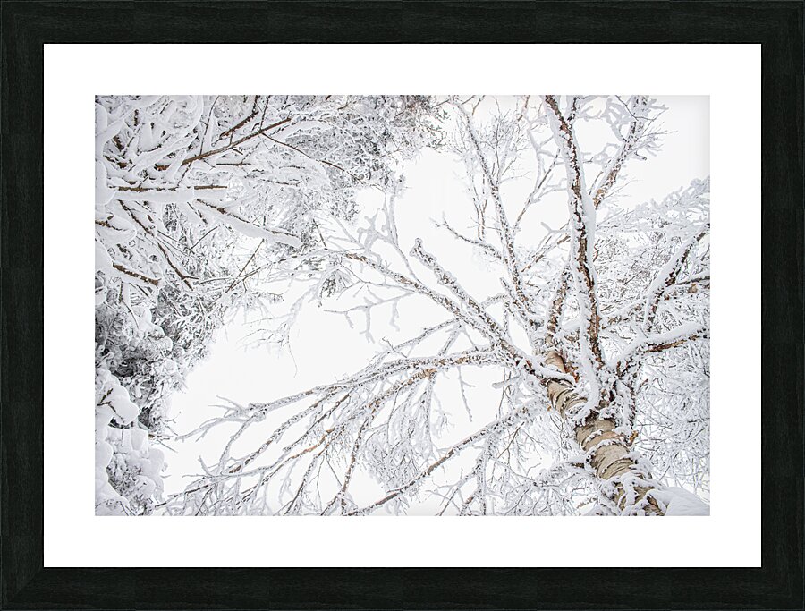 ciel blanc Picture Frame print