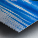 Dolphin following tour boat in Costa Rica Metal print