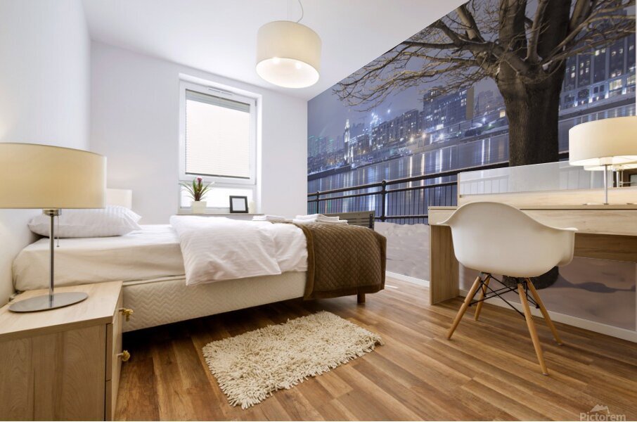 Cityscape from Inner city park at night Mural print