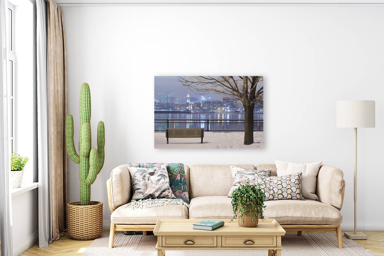 Cityscape from Inner city park at night Reproduction