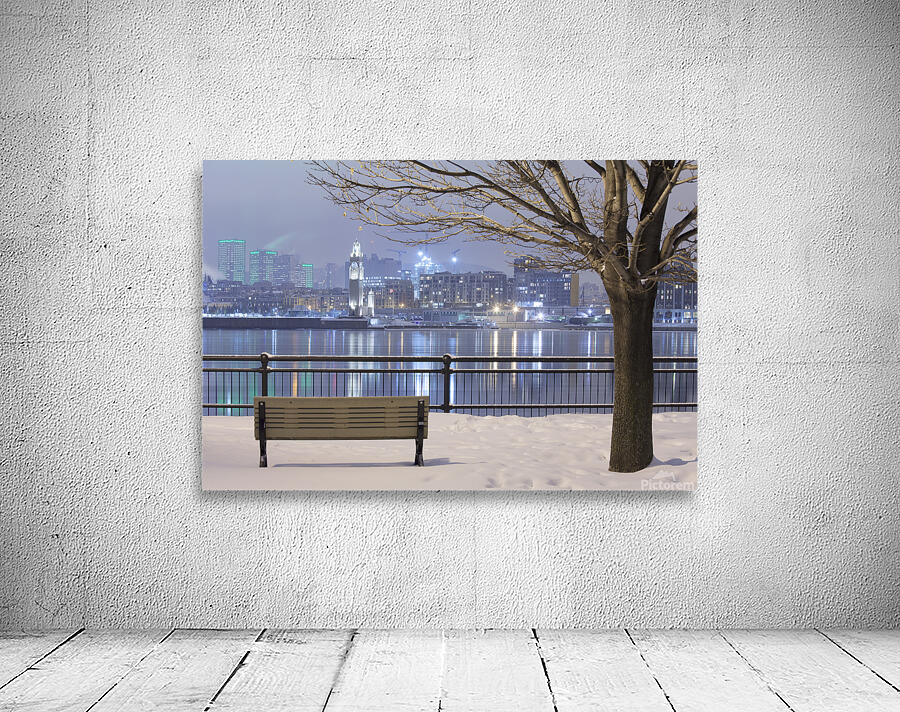 Cityscape from Inner city park at night Wall Preview