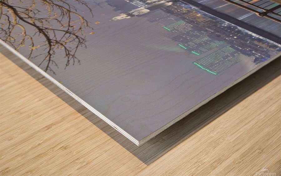 Cityscape from Inner city park at night Wood print