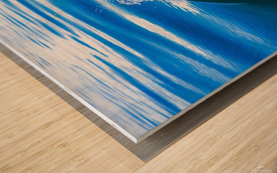 Dolphin following tour boat in Costa Rica Wood print