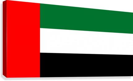 United Arab Emirates Flag Canvas Print