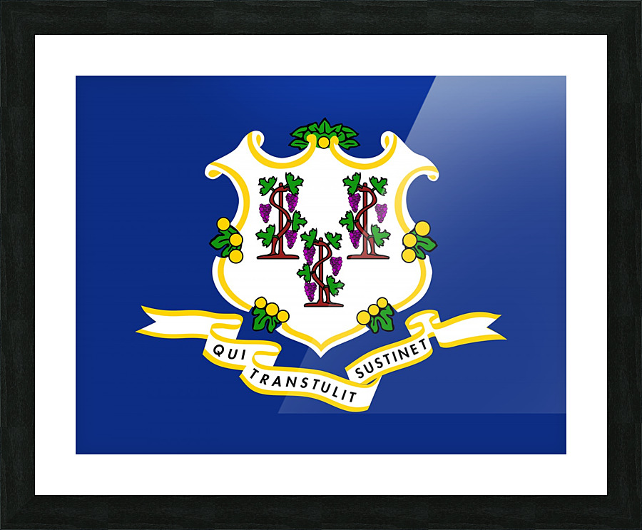 Connecticut State Flag Picture Frame print