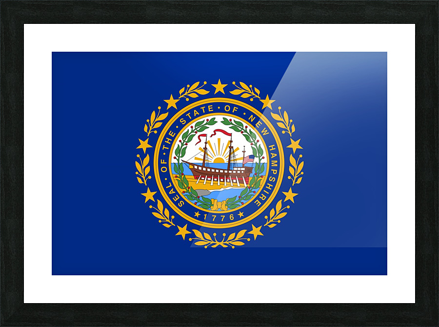 New Hampshire State Flag Picture Frame print