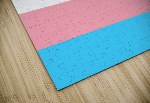 Transgender Pride Flag Fun With Flags puzzle