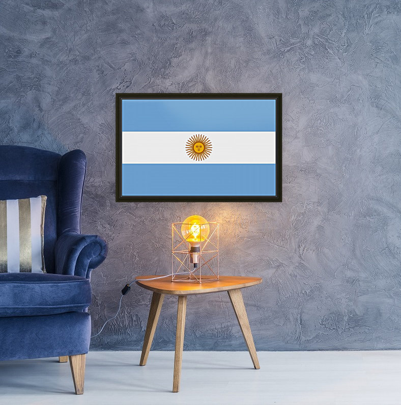 Argentina Flag Reproduction