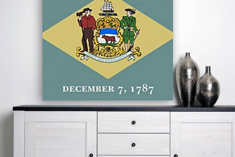 Delaware State Flag by Fun With Flags
