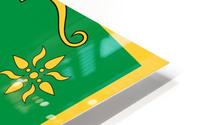 Abkhazia Emblem HD Metal print