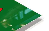 Saskatchewan Flag HD Metal print