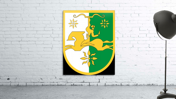 Abkhazia Emblem Wall Preview