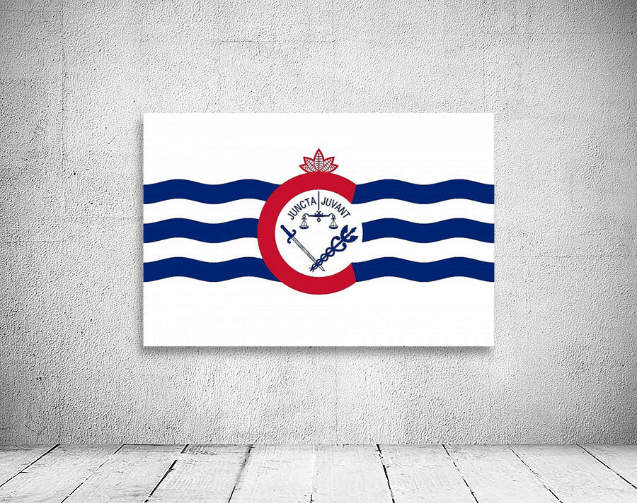Cincinnati Ohio Flag Wall Preview